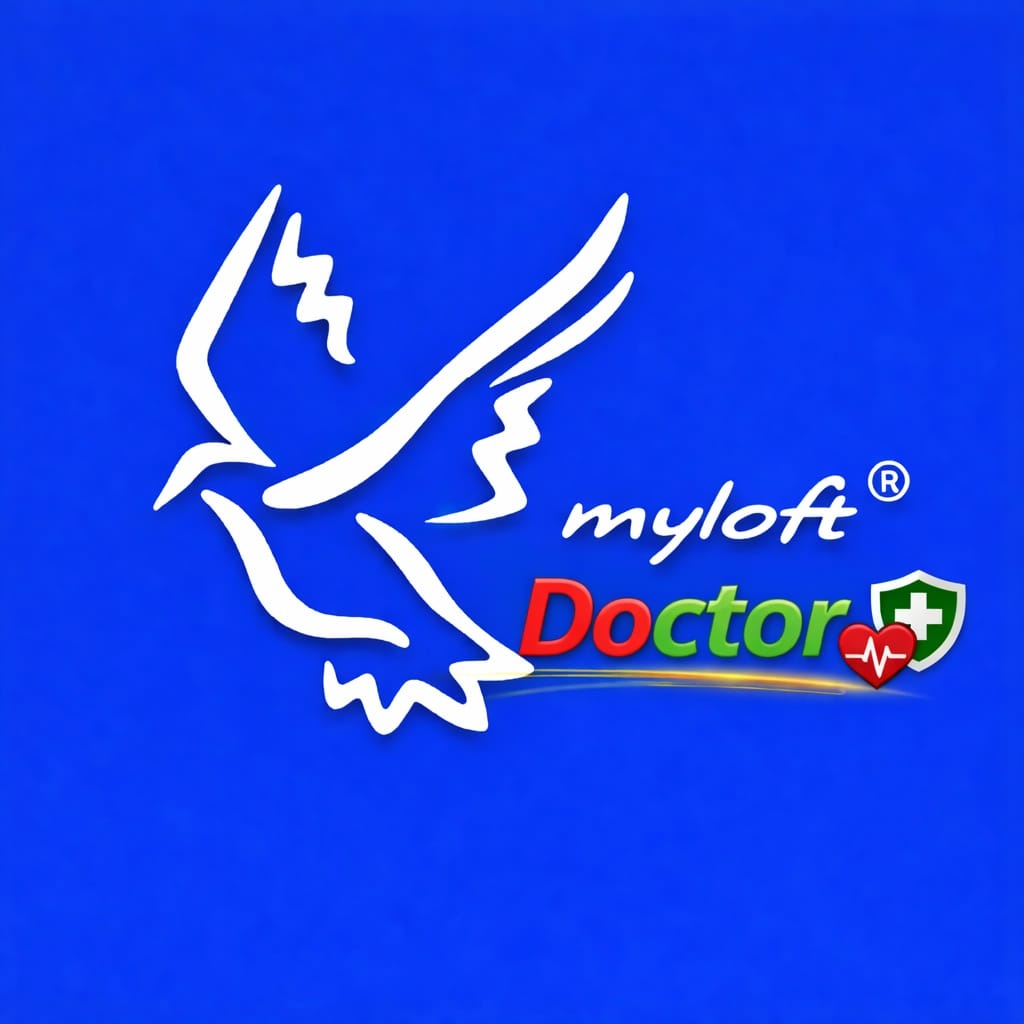 Dr. My Loft logo